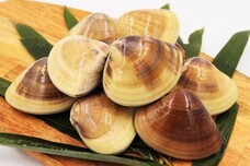 株式会社　鹿島豊栄丸のプレスリリース画像1