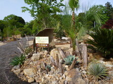 株式会社　沖植物園のプレスリリース画像1