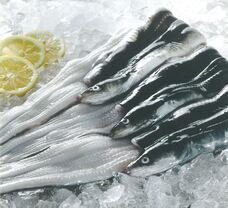 マーケティングセバスチャン株式会社のプレスリリース画像12