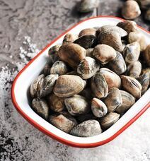 マーケティングセバスチャン株式会社のプレスリリース画像18