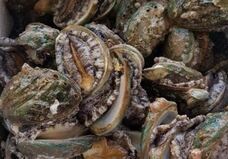 マーケティングセバスチャン株式会社のプレスリリース画像3