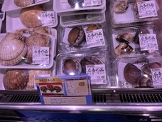 マーケティングセバスチャン株式会社のプレスリリース画像7