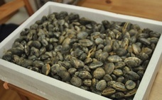 マーケティングセバスチャン株式会社のプレスリリース画像3