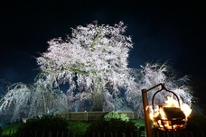 株式会社長楽館のプレスリリース画像7