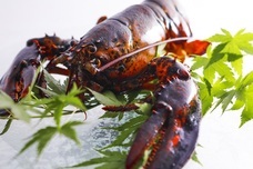 株式会社長楽館のプレスリリース画像9