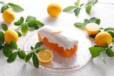 株式会社長楽館のプレスリリース画像1