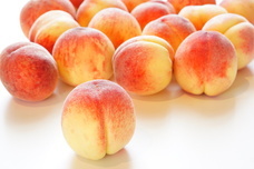 株式会社長楽館のプレスリリース画像6