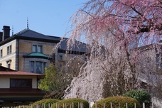 株式会社長楽館のプレスリリース画像2