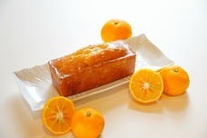 株式会社長楽館のプレスリリース画像1