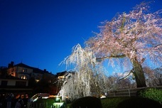 株式会社長楽館のプレスリリース画像3