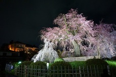 株式会社長楽館のプレスリリース画像5