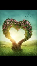 株式会社フェリーチェのプレスリリース画像2