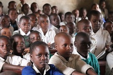 特定非営利活動法人NGO TOFAのプレスリリース画像1