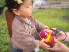 花工房Field canvasのプレスリリース画像1