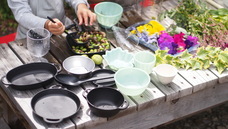 花工房Field canvasのプレスリリース画像1