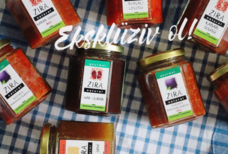 TET INTERNATIONAL DEVELOPMENT 株式会社のプレスリリース画像1