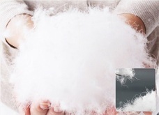 株式会社クローバーリンクスのプレスリリース画像5