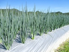 こと京都株式会社のプレスリリース画像2