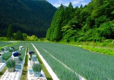 こと京都株式会社のプレスリリース画像5