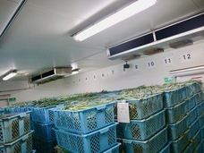 こと京都株式会社のプレスリリース画像3