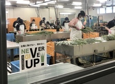 こと京都株式会社のプレスリリース画像4