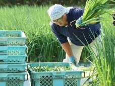 こと京都株式会社のプレスリリース画像2