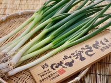 こと京都株式会社のプレスリリース画像5