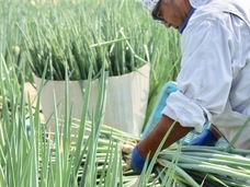 こと京都株式会社のプレスリリース画像7