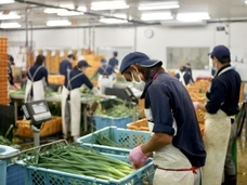 こと京都株式会社のプレスリリース画像8