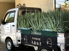 こと京都株式会社のプレスリリース画像7