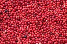 CanBeのプレスリリース画像5