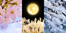雪月花 ハングル教室のプレスリリース画像1