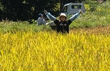 アリとキリギリス農園のプレスリリース画像1