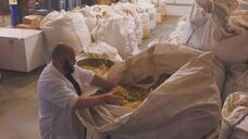 プラス・シー 株式会社のプレスリリース画像1