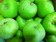 たいやき ともえ庵のプレスリリース画像2