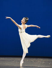 The Wells株式会社のプレスリリース画像3