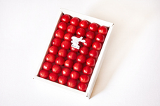 株式会社レトロスペクトのプレスリリース画像6