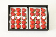 株式会社レトロスペクトのプレスリリース画像2