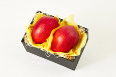 株式会社レトロスペクトのプレスリリース画像4