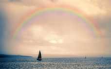 株式会社チコのプレスリリース画像3