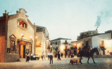 株式会社チコのプレスリリース画像4