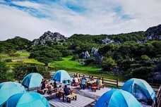 株式会社チコのプレスリリース画像2