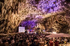 株式会社チコのプレスリリース画像5