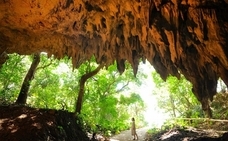 株式会社チコのプレスリリース画像4