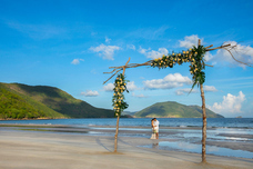 株式会社チコのプレスリリース画像4