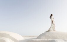 株式会社チコのプレスリリース画像1