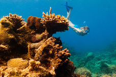 株式会社チコのプレスリリース画像8