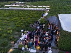 株式会社チコのプレスリリース画像5