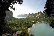 株式会社チコのプレスリリース画像3