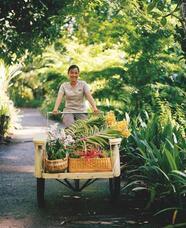 株式会社チコのプレスリリース画像9